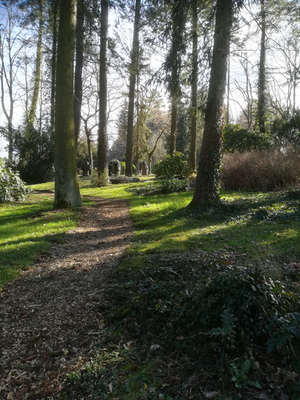 Friedwald ? Waldfriedhof! Weg durch Wald